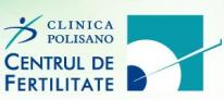 polisano_logo_206.JPG